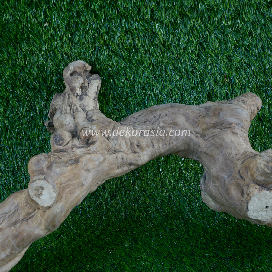 Coffee Wood for Reptile