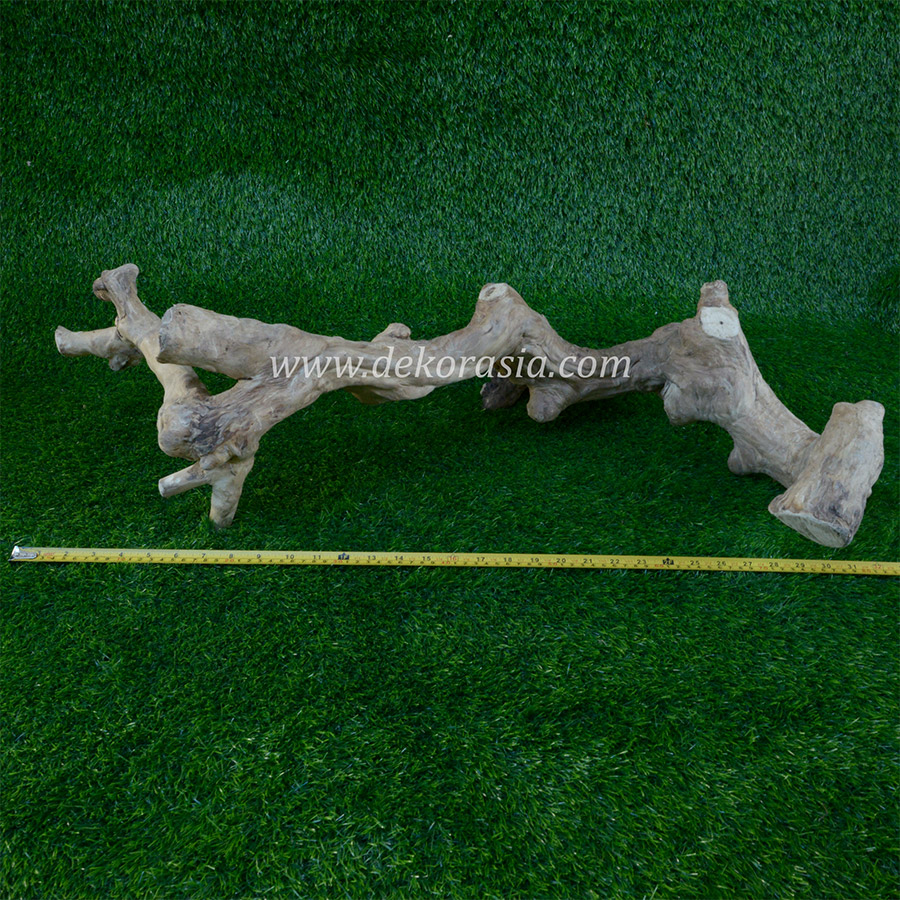 Coffee Wood for Reptile