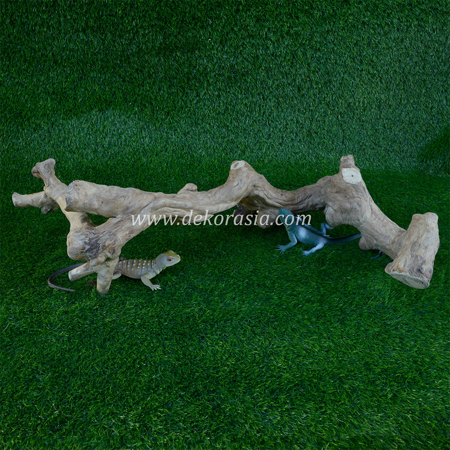 Coffee Wood for Reptile