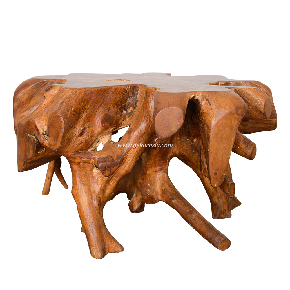 Root Coffee Table