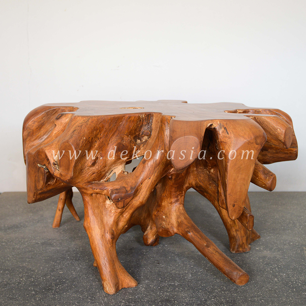 Root Coffee Table