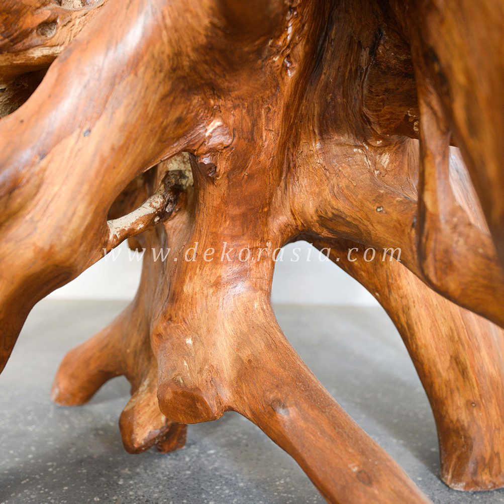 Root Coffee Table
