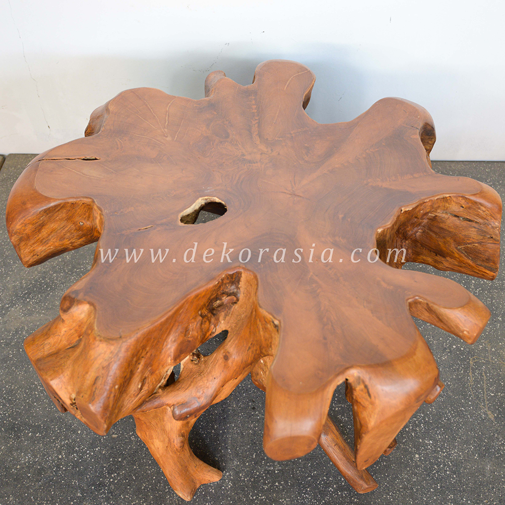 Root Coffee Table