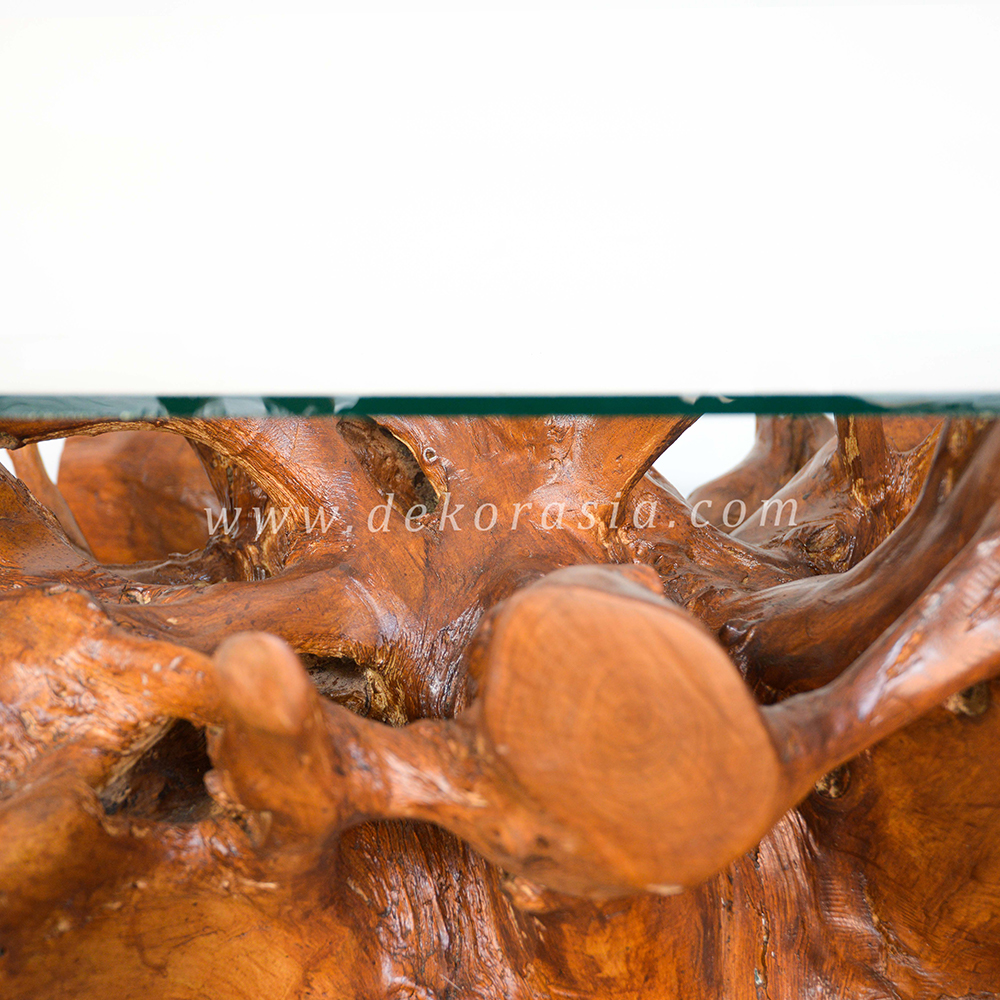 Teak Root Coffee Table