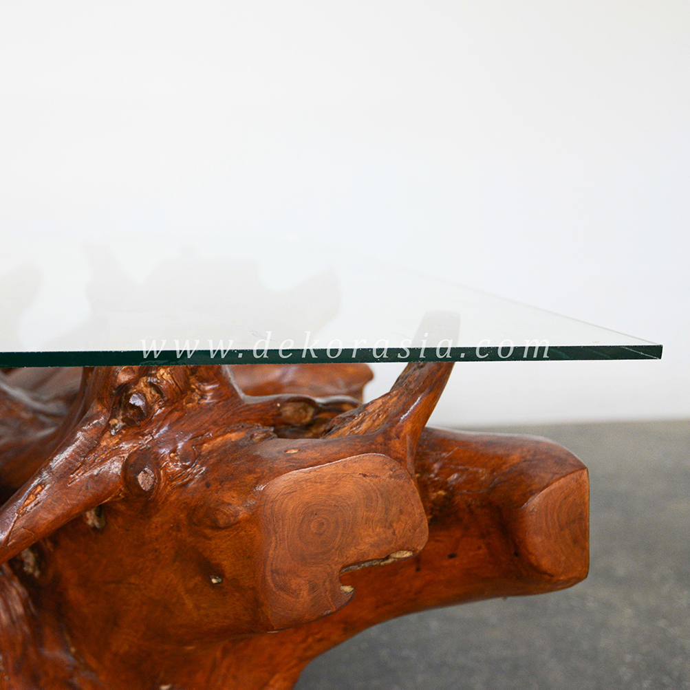 Teak Root Coffee Table