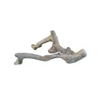 Coffee Wood Craft (Size S) for Reptile, Aquarium, Aquascaping – Coffee Wood Unique